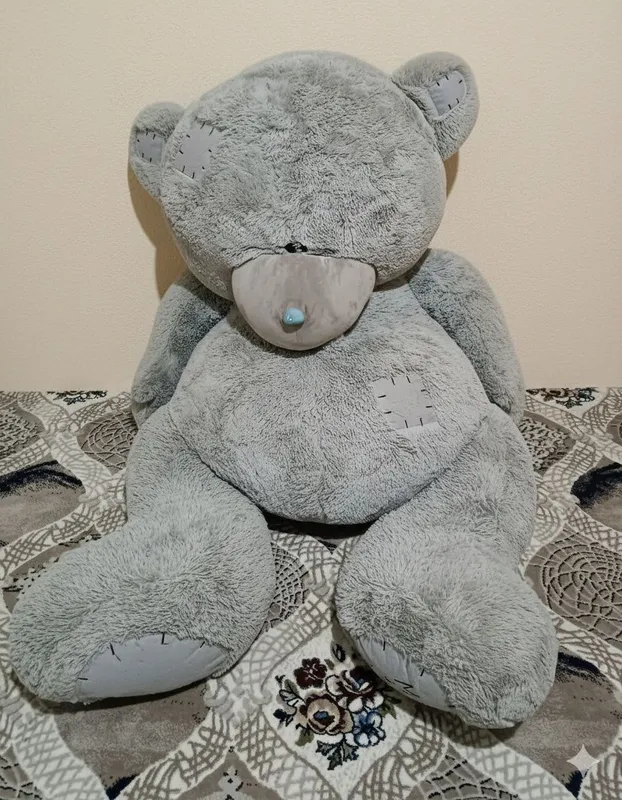 Pushti ayiq va teddy — фото 2