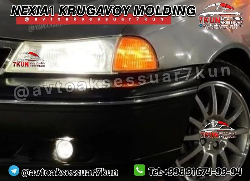 Nexia 1 molding