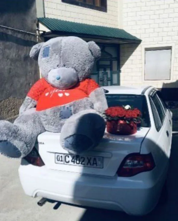Медведь Teddy тедди 1 Медведь Teddy тедди 1