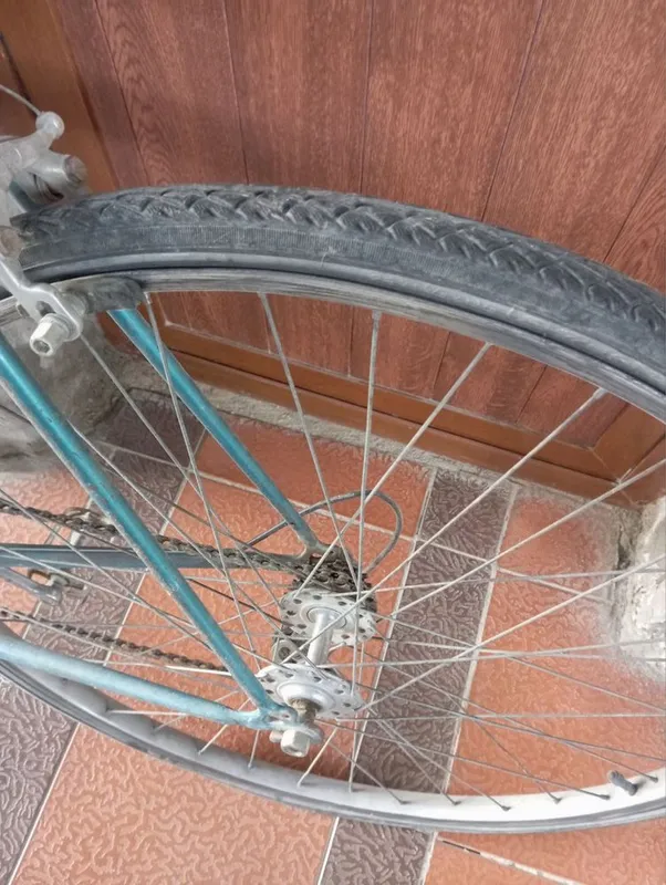 Velesopet gonshik sotiladi holati zur 1
