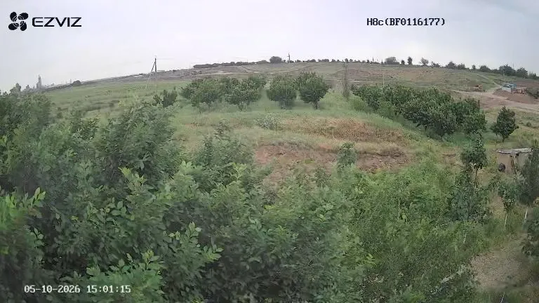 Гилос бог уй молхона свет сув хамма нарсаси бор