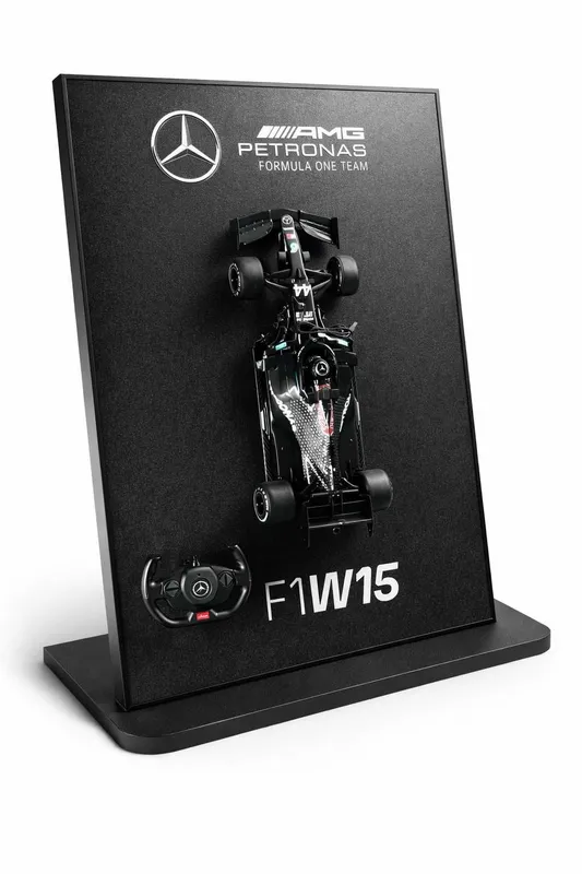 Premium 3D Avto Panel / Dekor F1