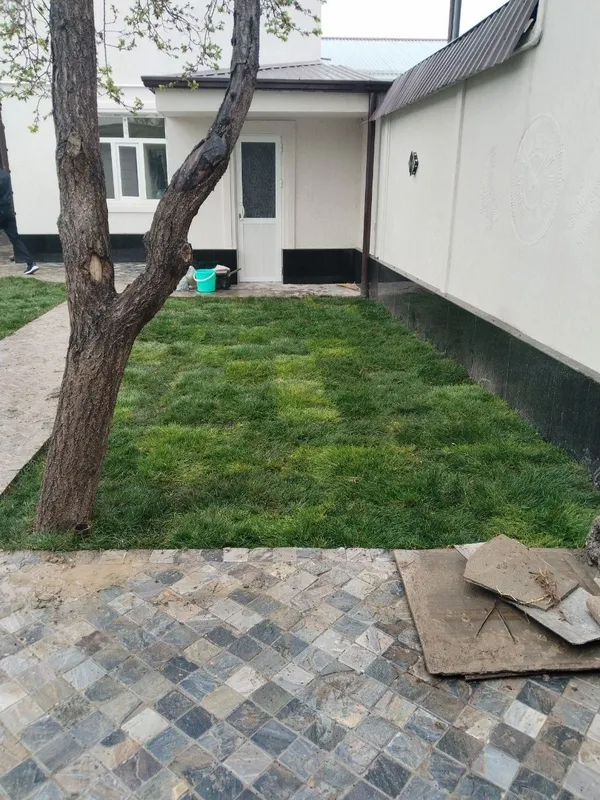 Gazon Mikrikilimit setka hizmat bor