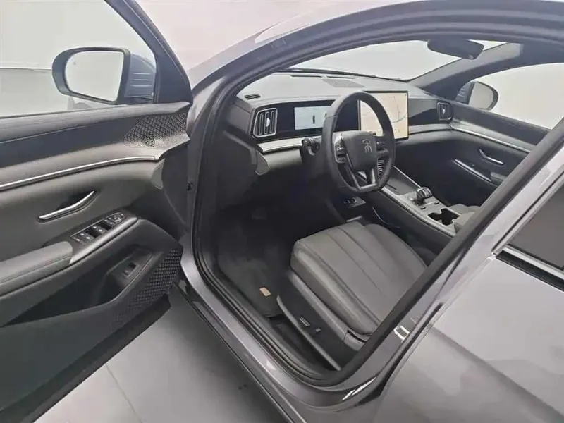 BYD Song Pro DM-i 71 km Flagship — фото 8