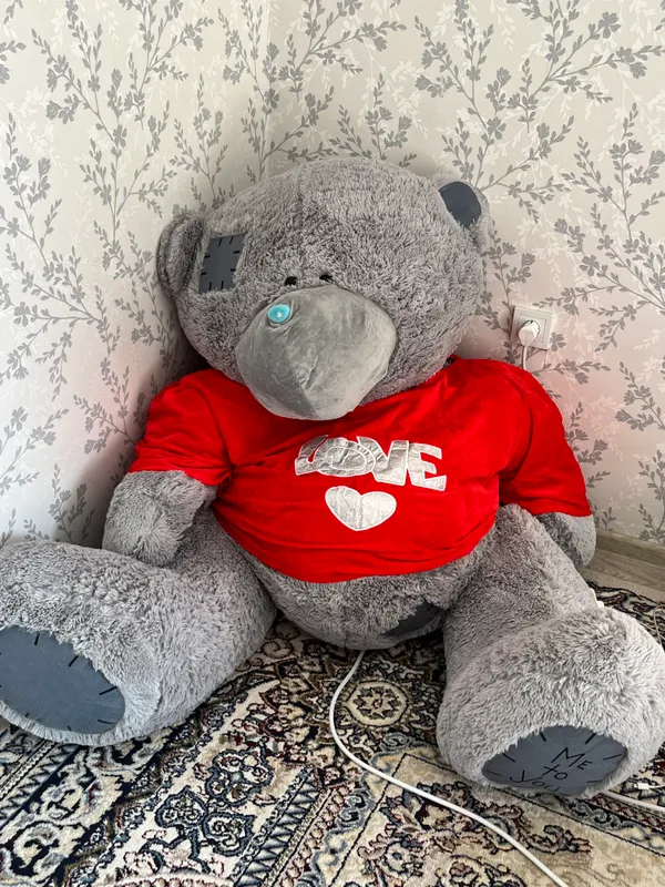 Teddy igrushka 2
