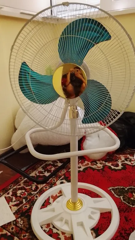 Vintilator Vintilator