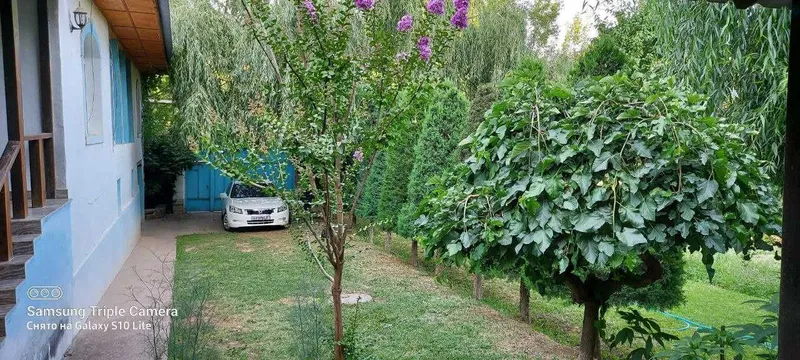 СРОЧНО! Продается СВОЯ дача — фото 4