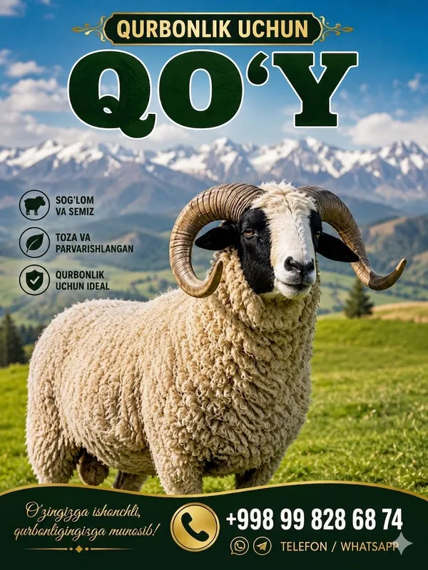 qoy