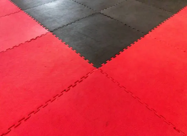 Tatami Mat Arginal SKITKA 2.5 smОригинальный китайский Татами — СКИДКА — фото 4