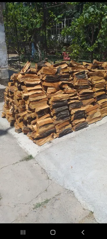 Otin oq qayin beryoza 3