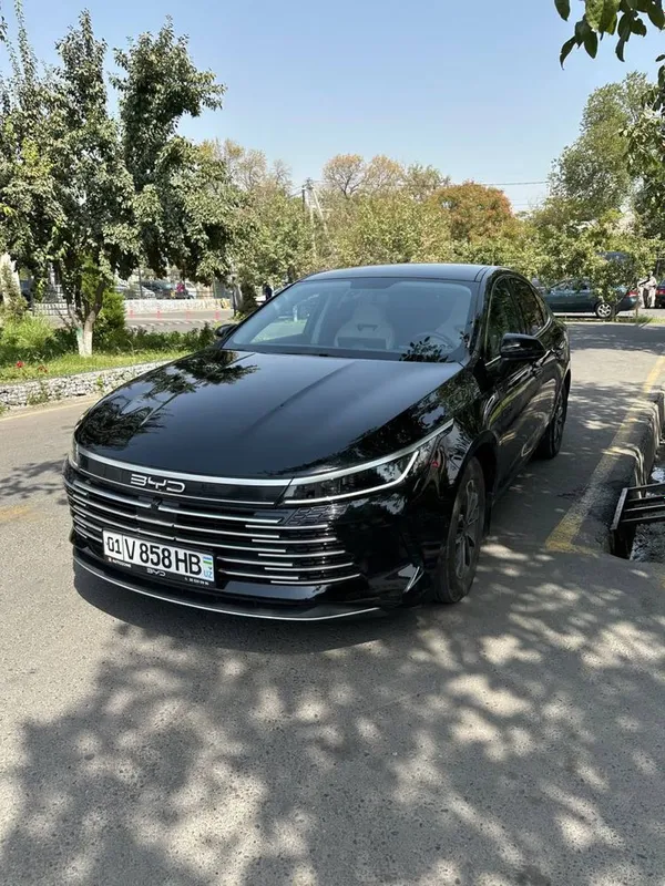 BYD CHAZOR chempion 2024