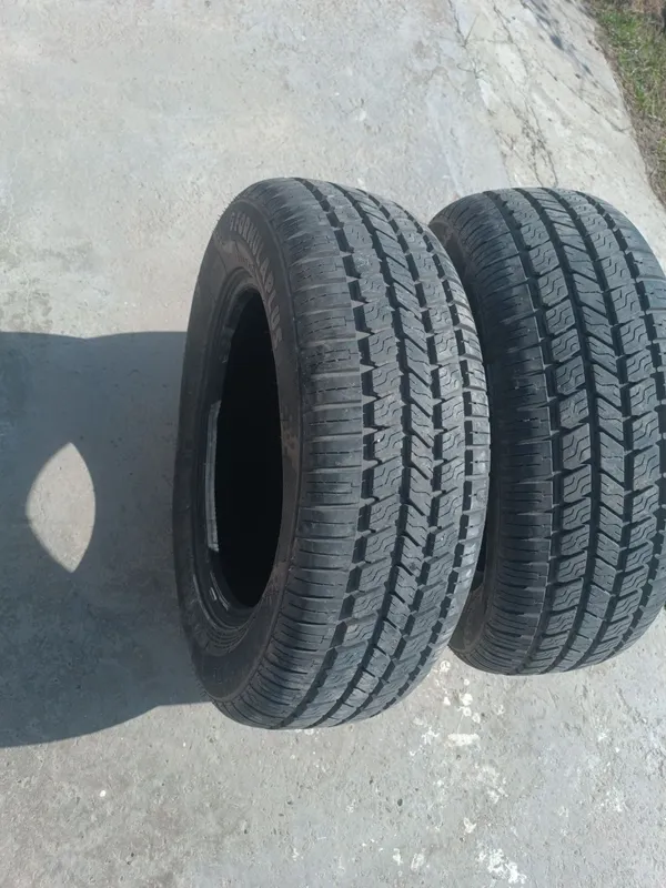 Formula plus 195/65/R15