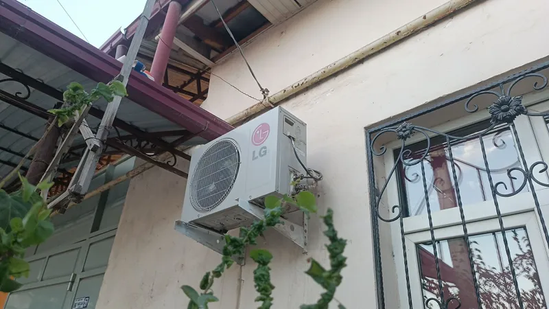 Кансанер бу 12 тали LG 2