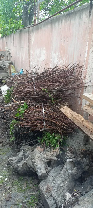 Утин сотилади Продаются дрова — фото 3