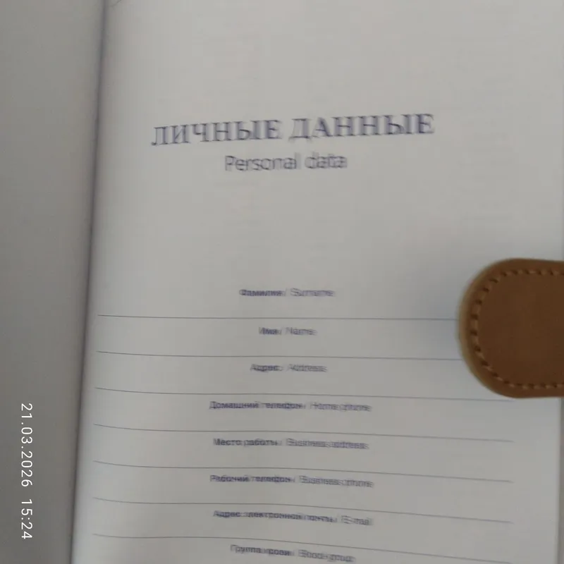 Два шикарных ежедневника — фото 4