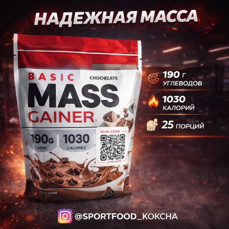 Basic Mass Gainer (Chocolate)