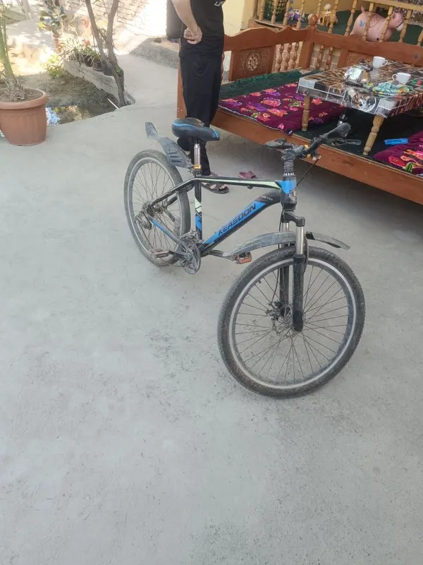 Vilosiped sotiladi amarzator