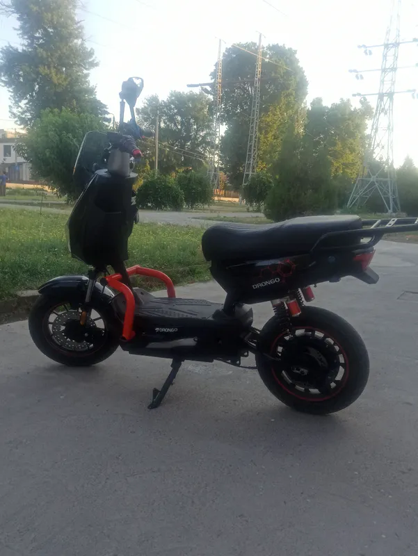 drongo zj 1 drongo zj 1