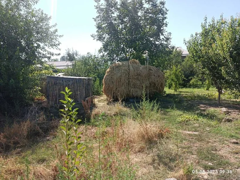 Ер сотилади, 7 суток, Янгиюл, Куш тепа, Раимбеков кучаси 5