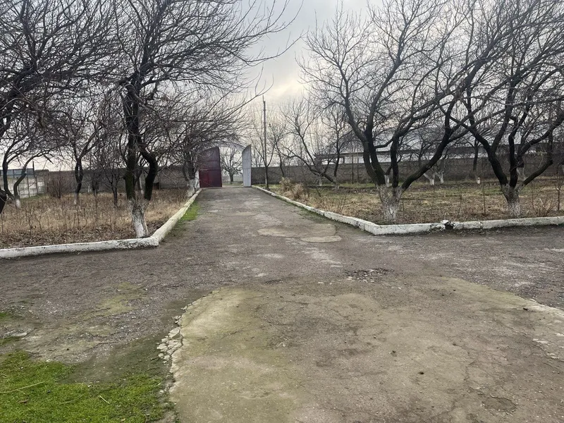 Продаётся откормочная база-ферма — фото 7 Продаётся откормочная база-ферма — фото 7