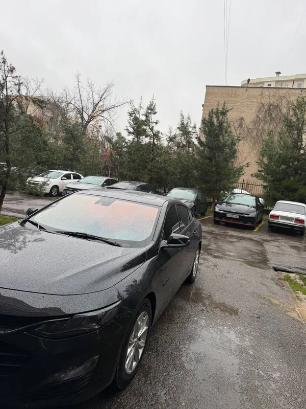 Солнца защита ва Тонировка сифатли хизмат ва кулей нархлада — фото 3 Солнца защита ва Тонировка сифатли хизмат ва кулей нархлада — фото 3
