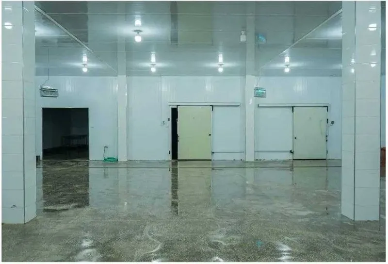 База-холодильник в Назарбеке 50-сот строения 18000 м² на 2000 тонн кур — фото 5