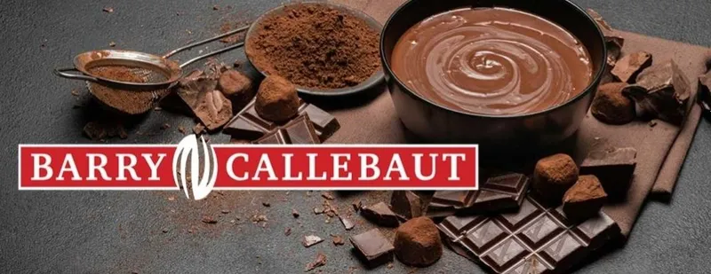 Какао порошок натуральный Barry Callebaut