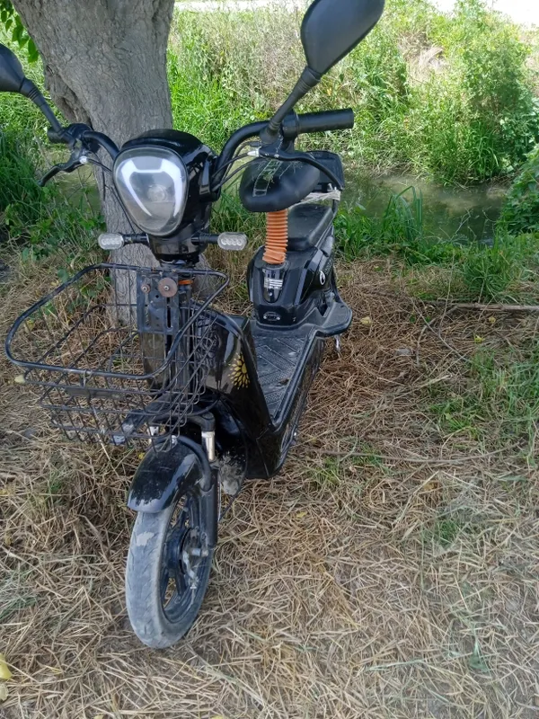 sonlink chuntak skutr