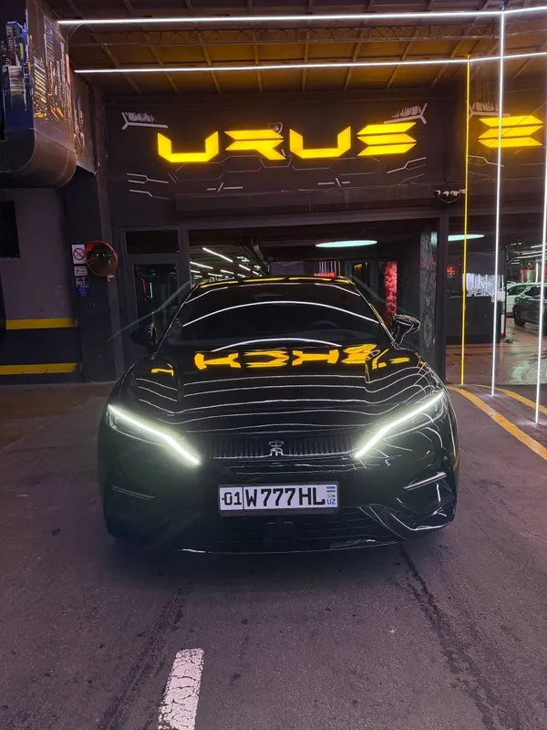 Продам свой автомобиль BYD song L