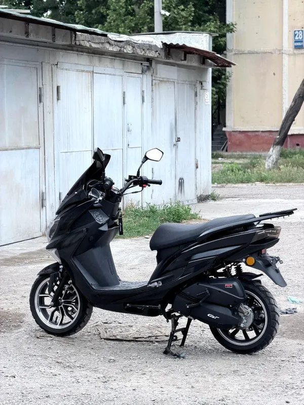 Gst tiger — фото 1