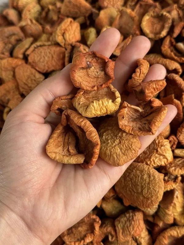 Яблоко сушенное olma quritilgan apple dried qoqi — фото 3