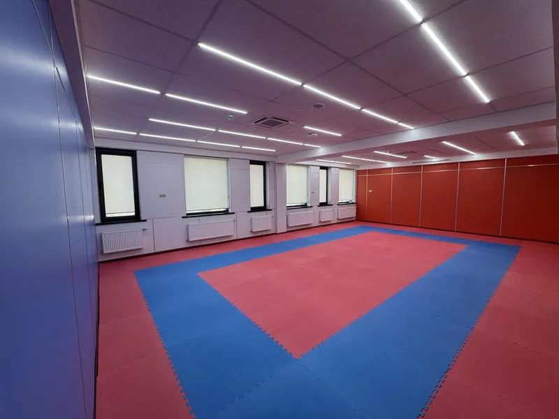 Tatami Dayan ORIGINAL BUDO MAT спортивный мат будо мат пазл татами — фото 3 Tatami Dayan ORIGINAL BUDO MAT спортивный мат будо мат пазл татами — фото 3