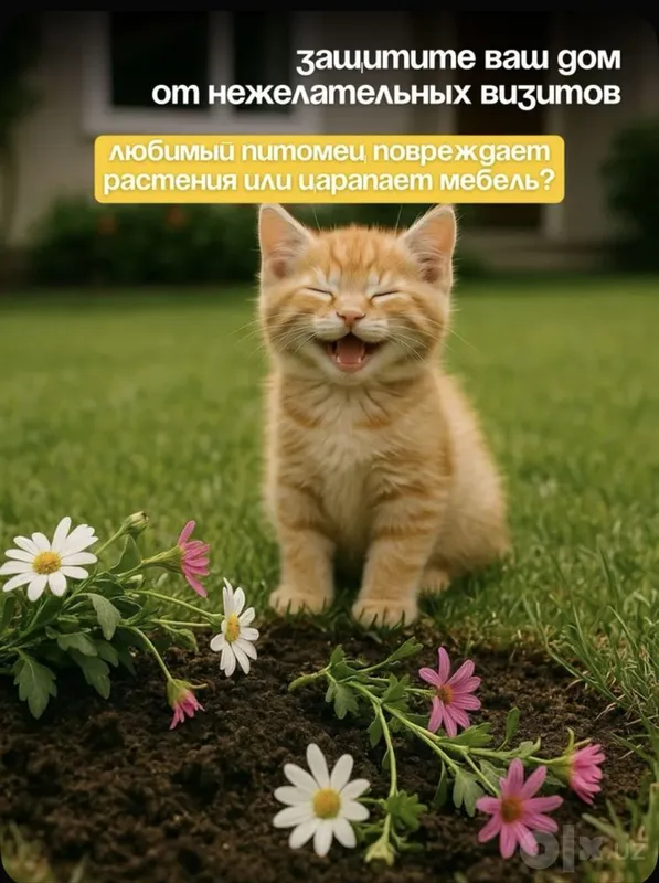 Коврик -для отпугивания кошек 2 Коврик -для отпугивания кошек 2