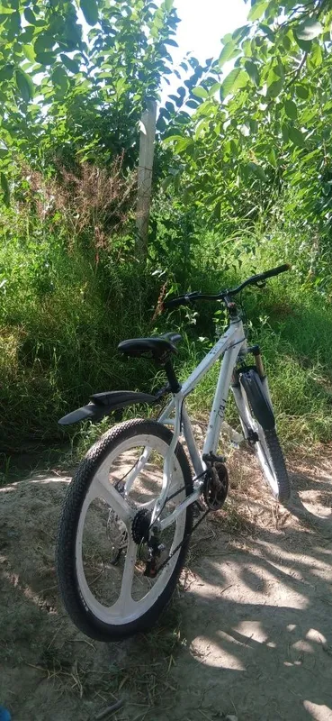Velosiped juda zur 2
