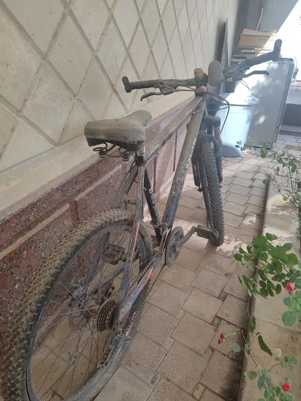 BMW velosipedi sotiladi 5