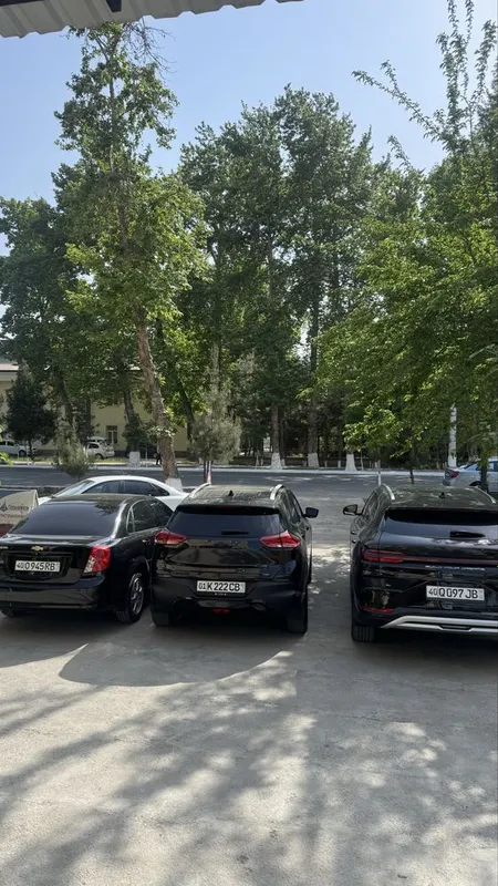 Rent a car safo 7 Rent a car safo 7