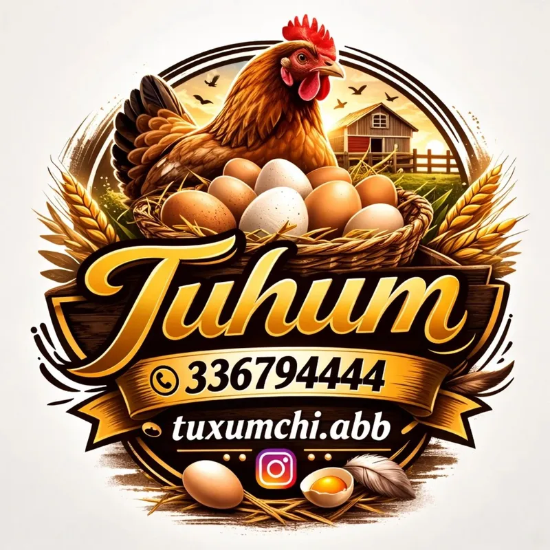 Damashniy tuxum svejiy