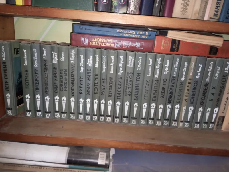 серия книг ЖЗЛ серия книг ЖЗЛ