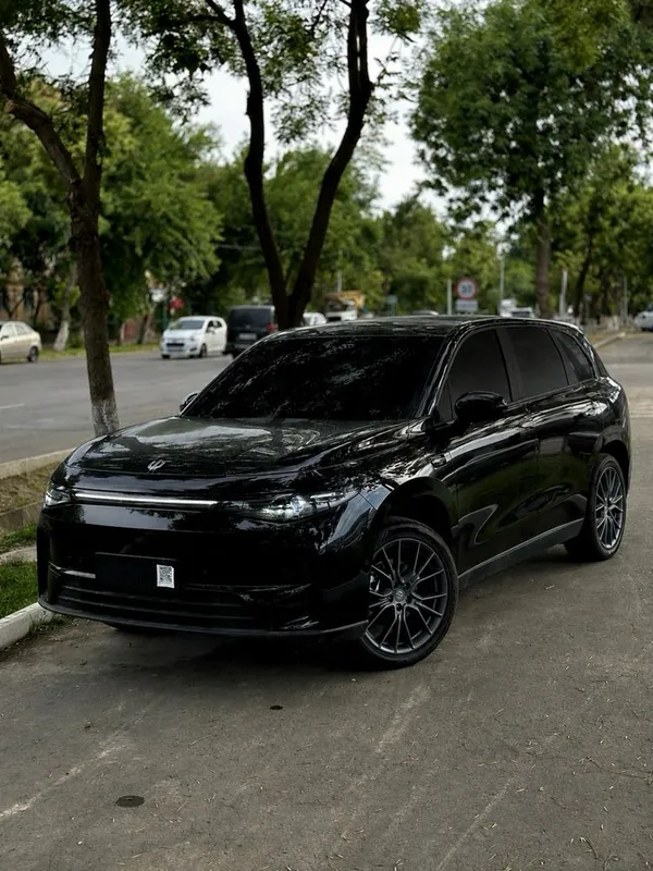 Leapmotor C10 ev 1 Leapmotor C10 ev 1