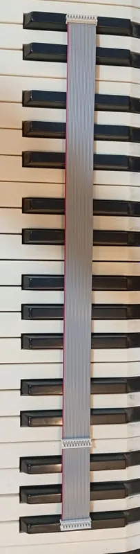 KORG PA3X учун шлейф