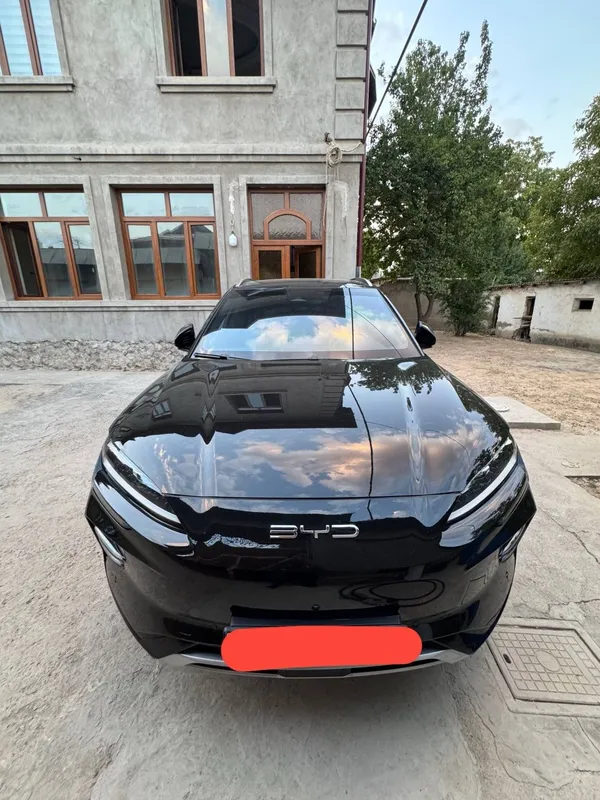 byd chempion 2024 1 byd chempion 2024 1