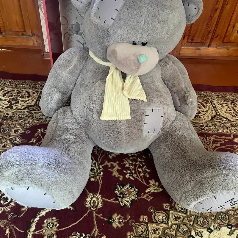 Teddy Juda katta Ayiq Srochnaga sotiladi — фото 4