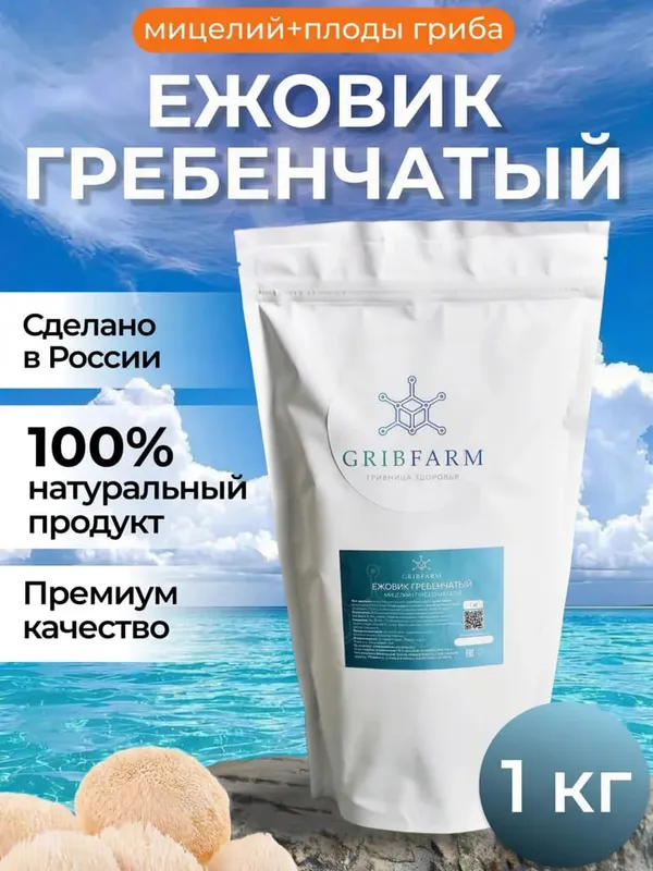 Грибы Ежовик гребенчатый 4