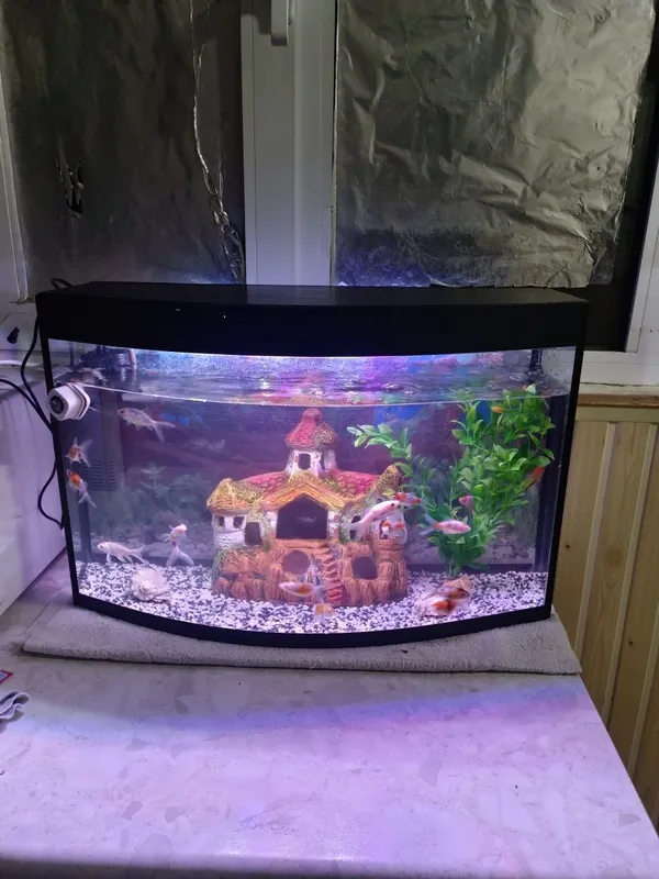 Avalniy Akvarium komplekt 60Litr