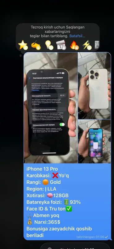 13 pro
