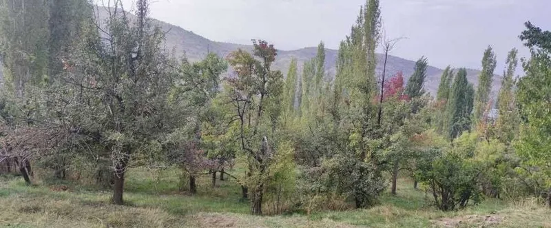 Продаётся участок в Чимгане
