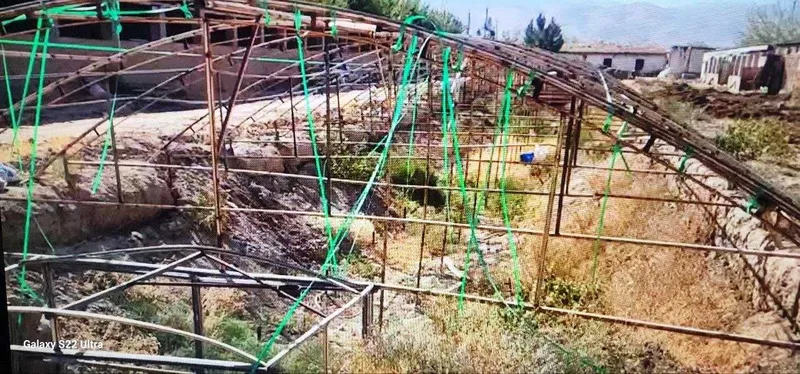 Миронкулга 3 Га молхона сотилмокда бахоси 150000уе савдоси бор — фото 5