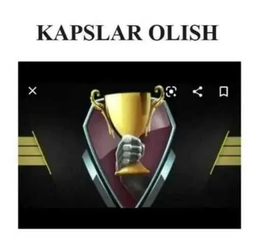 Kapslar olish maslahatlar, Консультация по получению КАПСОВ Kapslar olish maslahatlar, Консультация по получению КАПСОВ