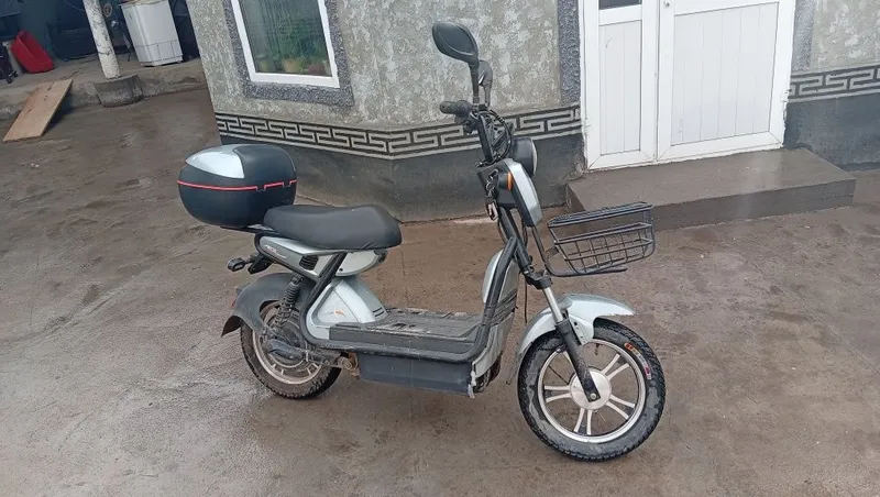 Електра мапет цкутир — фото 1