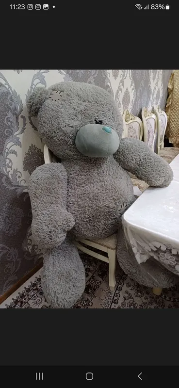 Ayiq kotta 3 Ayiq kotta 3